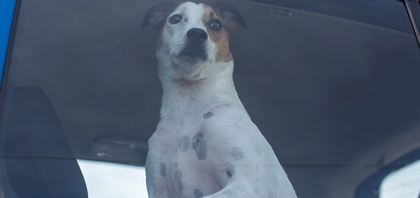 Car Lockout Solutions in Big Bear City, California